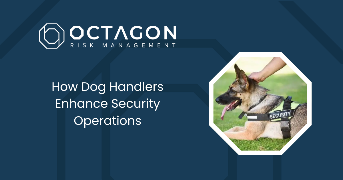 How Dog Handlers Enhance Security Operations
